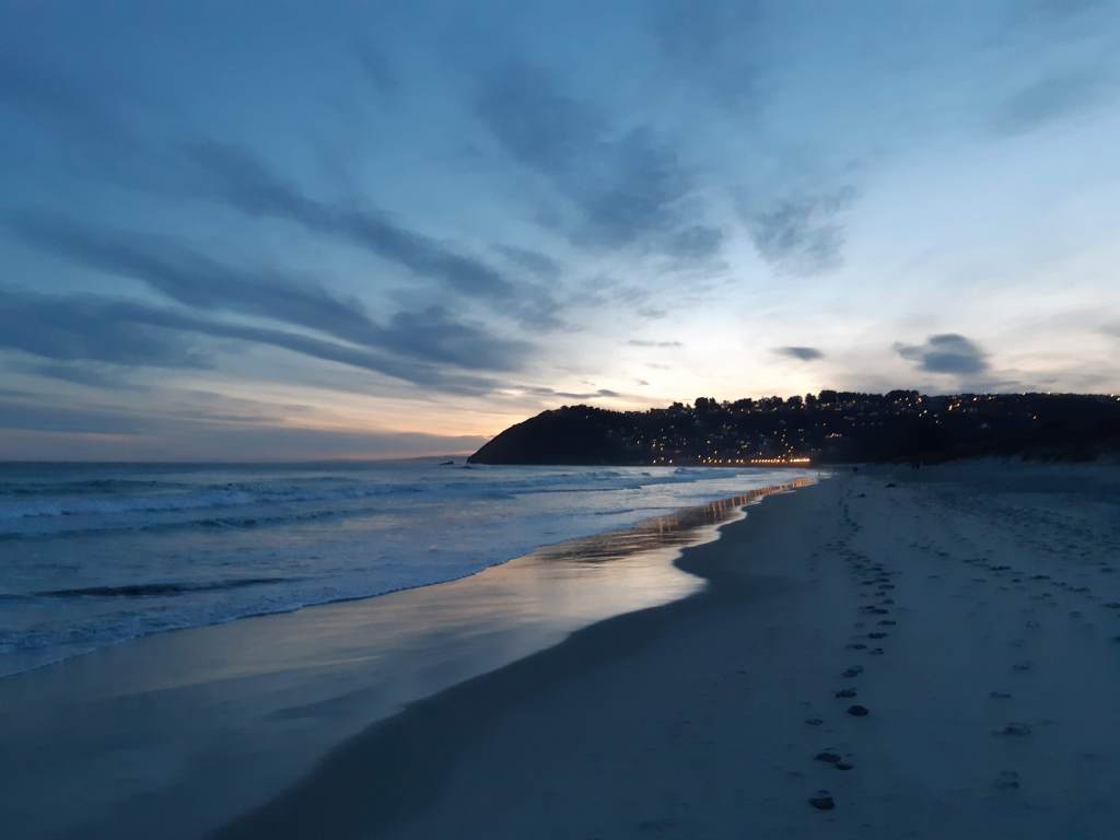 Exhibition Quartet (2022)