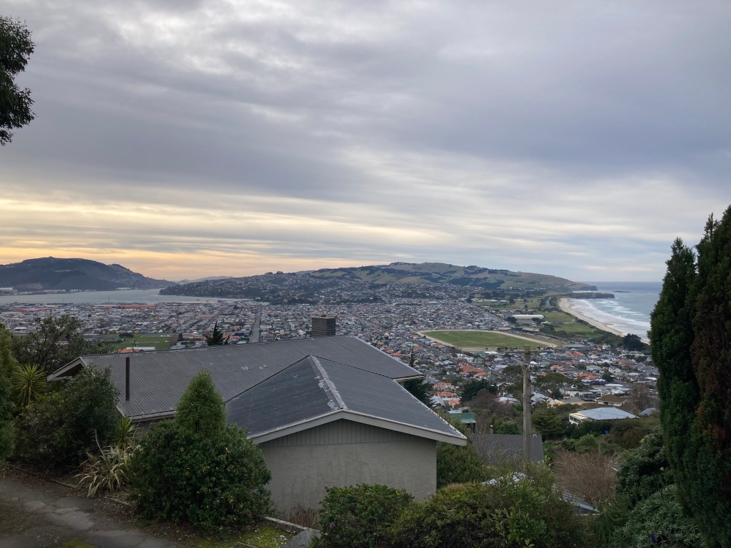 this rising tide, these former wetlands&nbsp;(2024-25)